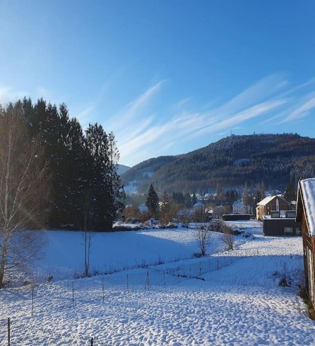 Chalet Les Boudieres 6 Pers Pres Gerardmer Cosy Billard Fraize Eksteriør billede