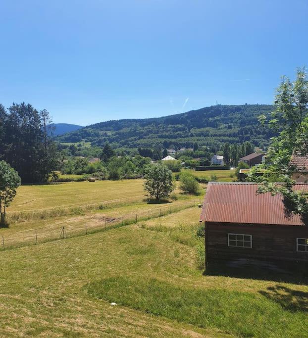 Chalet Les Boudieres 6 Pers Pres Gerardmer Cosy Billard Fraize Eksteriør billede